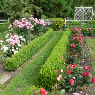 anklicken zum Vergr&ouml;&szlig;ern