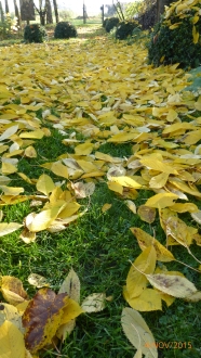 anklicken zum Vergr&ouml;&szlig;ern