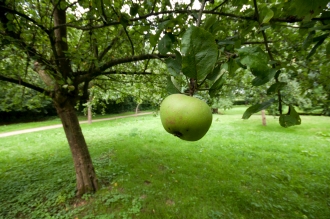 anklicken zum Vergr&ouml;&szlig;ern