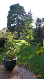 anklicken zum Vergr&ouml;&szlig;ern