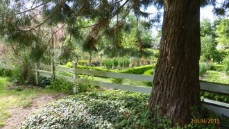 anklicken zum Vergr&ouml;&szlig;ern