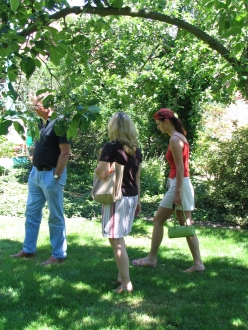 anklicken zum Vergr&ouml;&szlig;ern