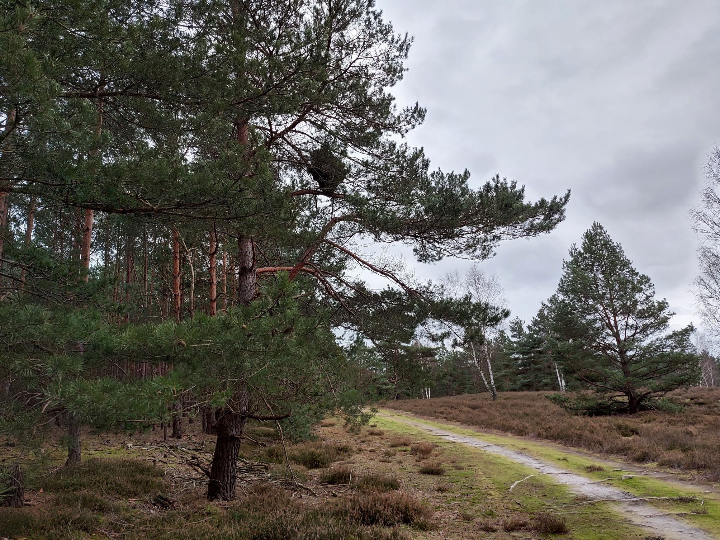 anklicken zum Vergrößern