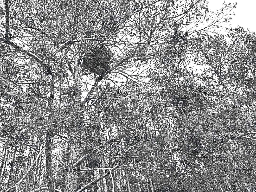 anklicken zum Vergrößern