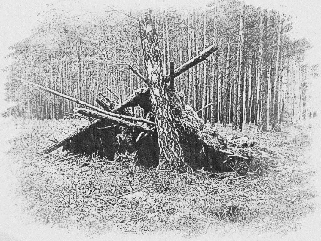 anklicken zum Vergrößern