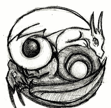 anklicken zum Vergrößern