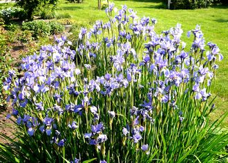 anklicken zum Vergr&ouml;&szlig;ern