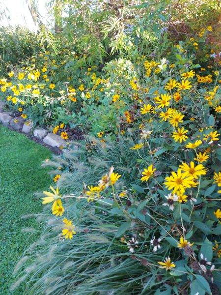 anklicken zum Vergrößern