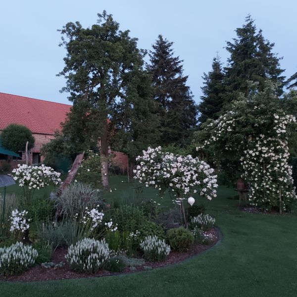 anklicken zum Vergrößern