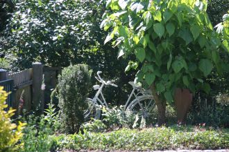 anklicken zum Vergrößern