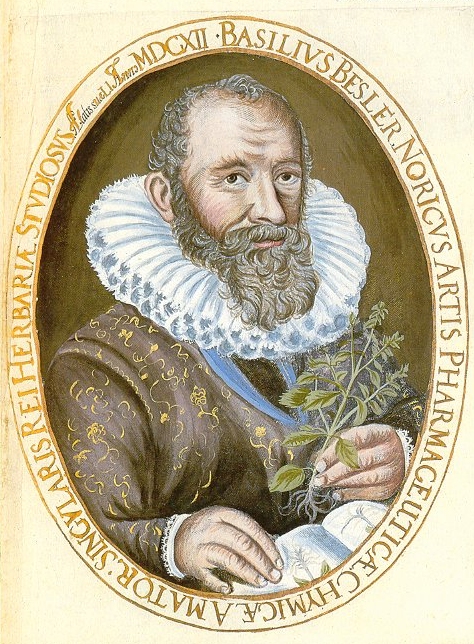 Basilius Besler